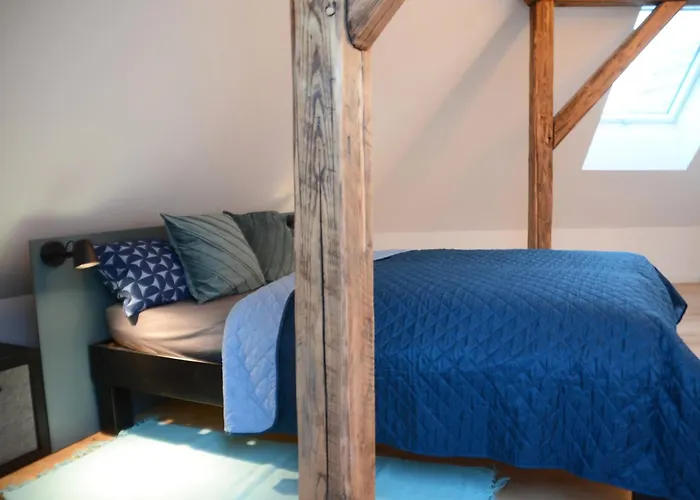 Msf Apartment Tuerkiser Wolf